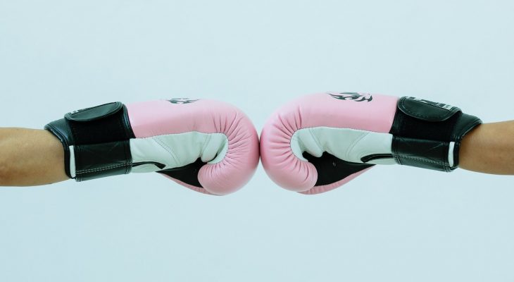 fame mma