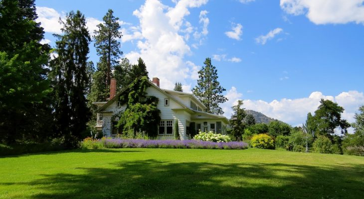 projektowanie ogrodow