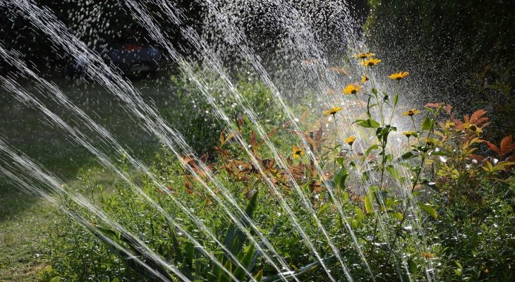 nawadnianie grzadek w ogrodzie