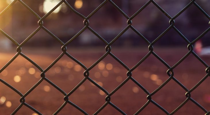 siatka do ogrodzenia posesji